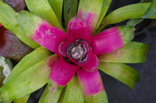 ap_F23_20100513093331677.jpg