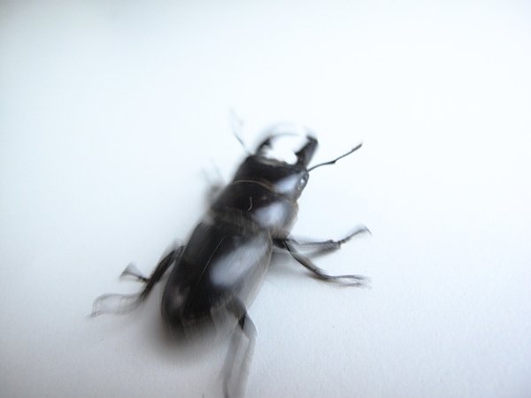 IMG_6093.JPG