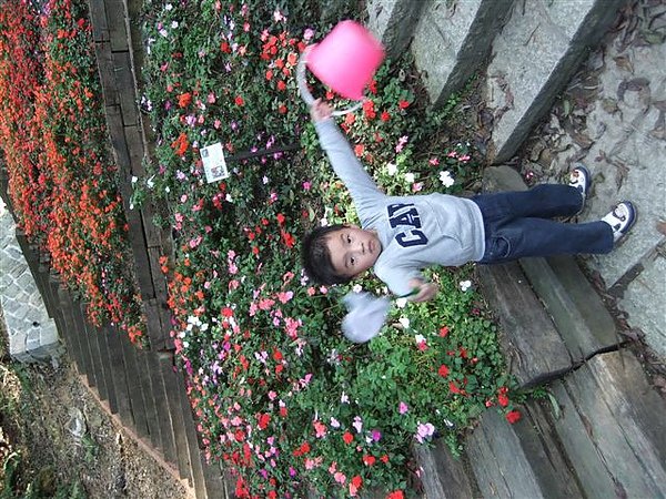 DSCF2455.JPG