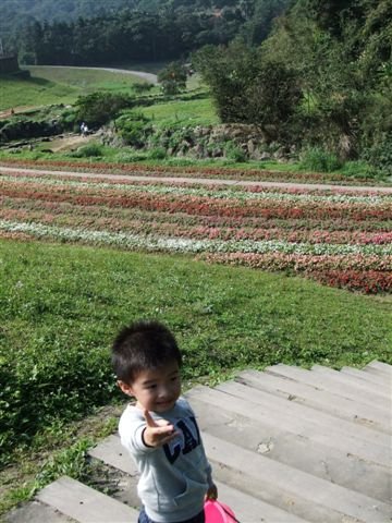 DSCF2412.JPG
