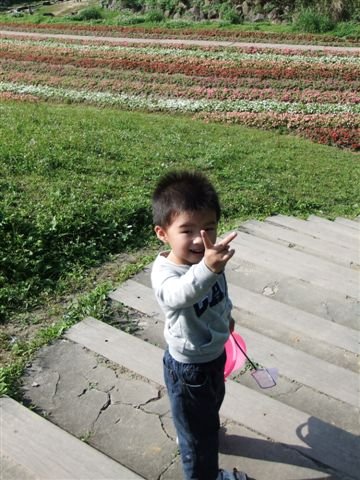 DSCF2411.JPG
