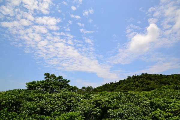 FULONG_09.JPG