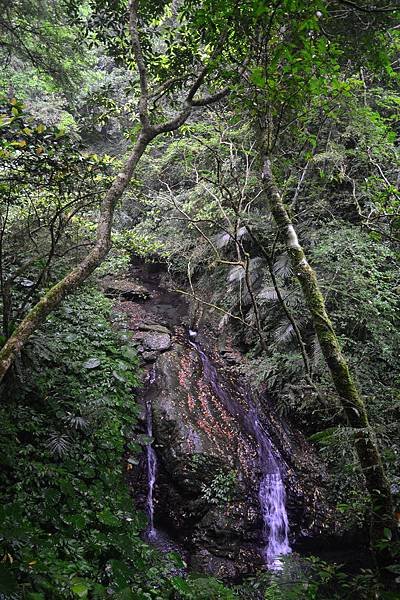 DSC_6605_調整大小.JPG