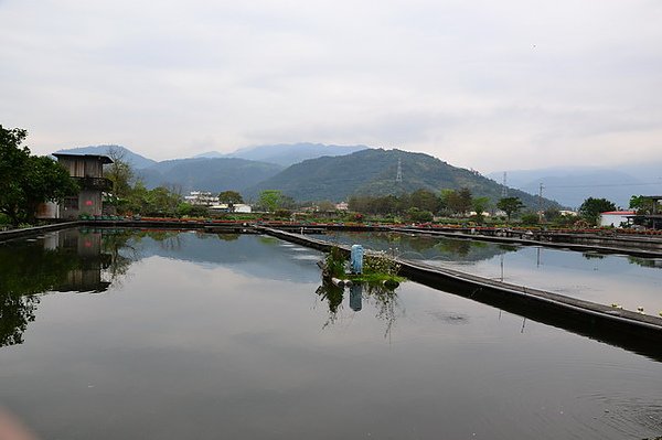 syun_21.JPG