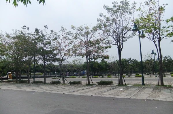 TWay01.JPG