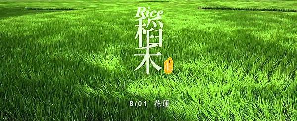 稻禾1