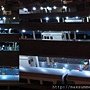 鐵道迷的小宇宙，穿越港都的時空列車 Part 2 - 14.jpg