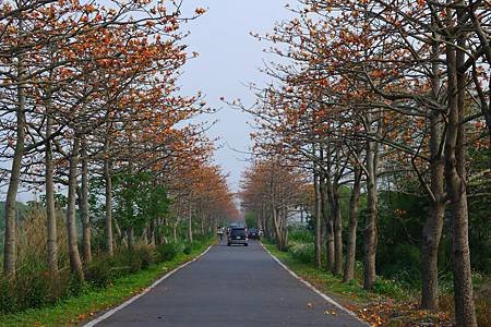 L1190424.JPG