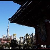 20121220-1 (134)