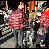 20121220-1 (141)