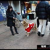 20121220-1 (185)