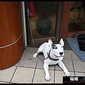 20121222-1 (68)