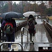 20121222-1 (79)