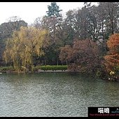 20121222-1 (81)