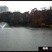 20121222-1 (82)