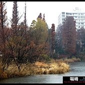 20121222-1 (83)