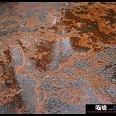 20121222-1 (85)