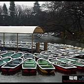 20121222-1 (87)