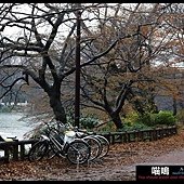 20121222-1 (89)