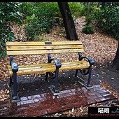 20121222-1 (90)
