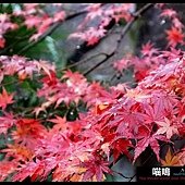 20121222-1 (91)