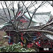 20121222-1 (92)