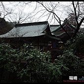 20121222-1 (95)