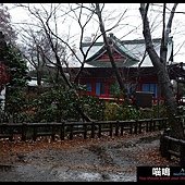 20121222-1 (96)