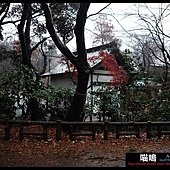 20121222-1 (97)
