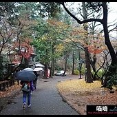 20121222-1 (98)