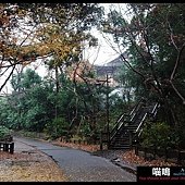 20121222-1 (100)