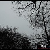 20121222-1 (101)