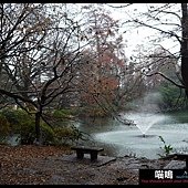 20121222-1 (102)