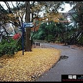 20121222-1 (103)
