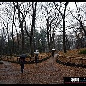 20121222-1 (105)