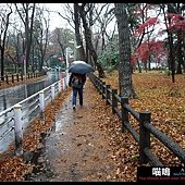 20121222-1 (106)
