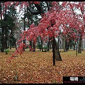 20121222-1 (107)