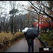 20121222-1 (108)