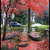 20121222-1 (109)