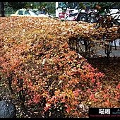 20121222-1 (110)