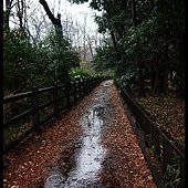 20121222-1 (112)
