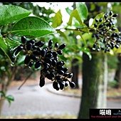 20121222-1 (115)