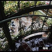 20121222-1 (133)