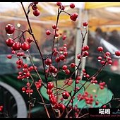 20121222-1 (143)