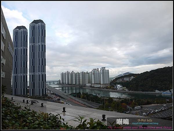P1310541.jpg