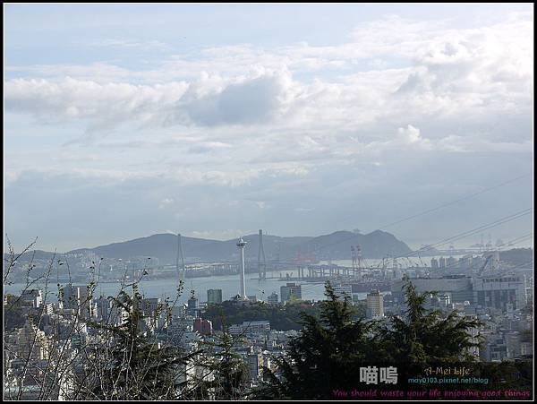 P1310740.jpg