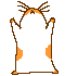 rat_0072