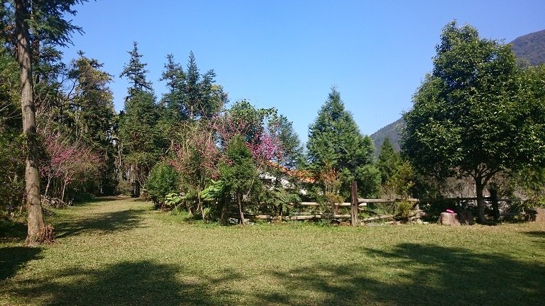 DSC_0919.JPG