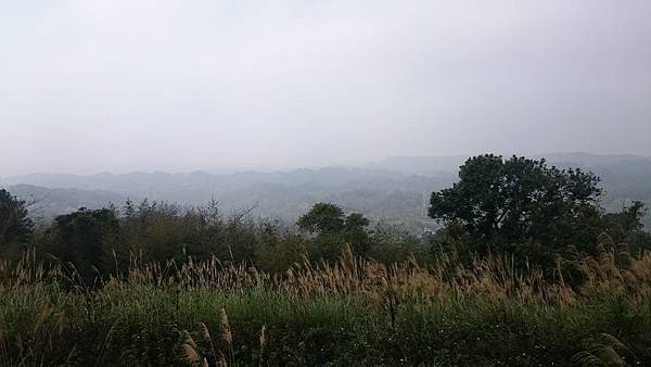 DSC_1097.JPG