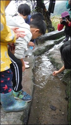 DSCF9060-20141116.JPG